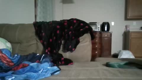 Bud42o online show from 09.09.25