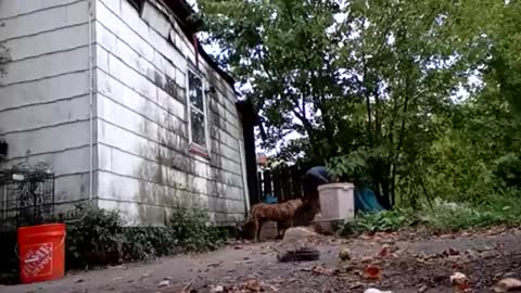 Snapshot of buddylovex chatting on 10.06.25 buddylovex online show from 10.06.25