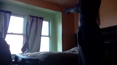 Snapshot of buddylovex chatting on 11.04.25 buddylovex online show from 11.04.25