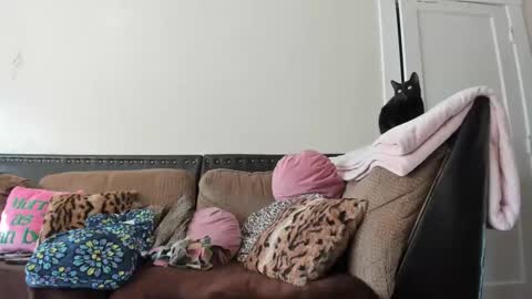 Buffy online show from 12.02.24