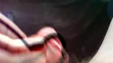 bullemoe online show from 09.16.25