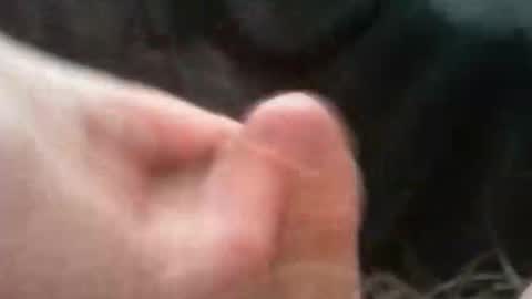 bullemoe online show from 10.02.25