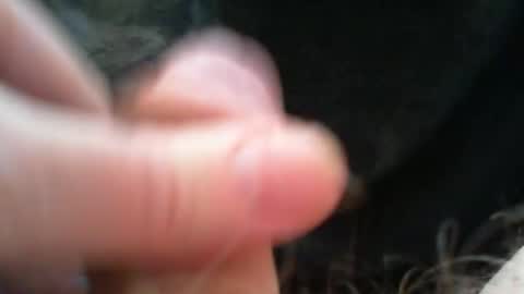 bullemoe online show from 12.15.25