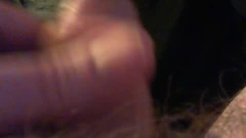 bullemoe online show from 12.15.25