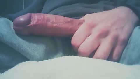 Dutch cock online show from 12.27.24