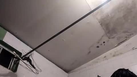 bunnychocolatte69 online show from 11.30.25