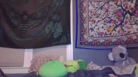 lilly online show from 02.02.25