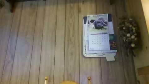 Snapshot of c4u58 chatting on 02.01.26 c4u58 online show from 02.01.26