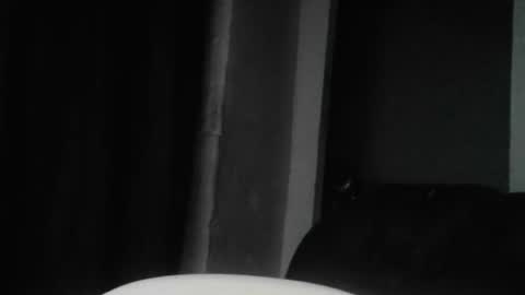 cafinfi1 online show from 04.02.26