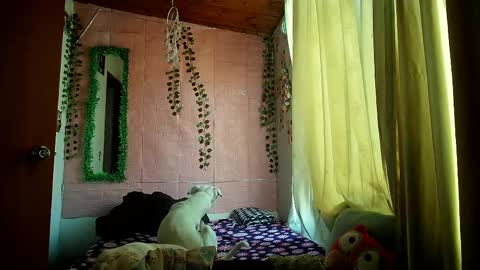 paula online show from 03.25.26