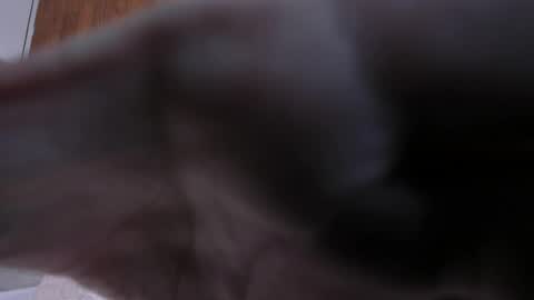 Snapshot of camilaa_smith_ chatting on 04.02.26 camilaa_smith_ online show from 04.02.26