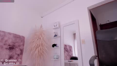 Snapshot of cammile_cole chatting on 01.18.25 Laura Camila online show from 01.18.25