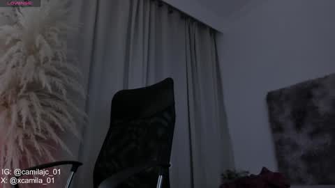 Snapshot of cammile_cole chatting on 02.01.25 Laura Camila online show from 02.01.25