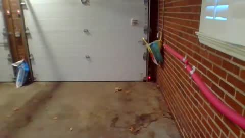 Snapshot of cammyman6900 chatting on 12.09.24 cammyman6900 online show from 12.09.24