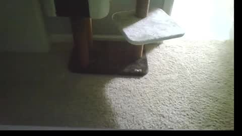 Snapshot of cammyman6900 chatting on 09.21.25 cammyman6900 online show from 09.21.25