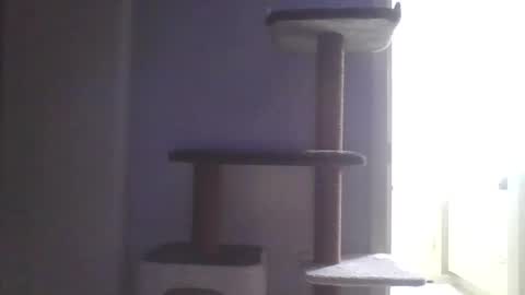 Snapshot of cammyman6900 chatting on 11.09.25 cammyman6900 online show from 11.09.25