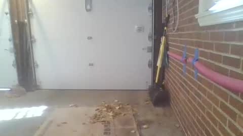 Snapshot of cammyman6900 chatting on 11.13.25 cammyman6900 online show from 11.13.25