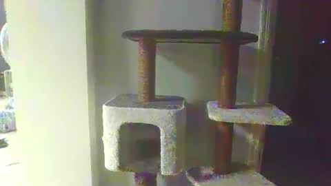 Snapshot of cammyman6900 chatting on 11.20.25 cammyman6900 online show from 11.20.25