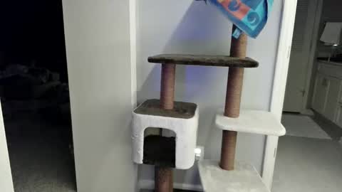 cammyman6900 online show from 03.21.26