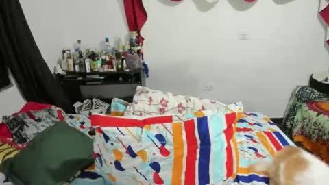 candlex  online show from 02.10.25