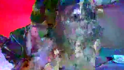 candy kyle online show from 10.02.25