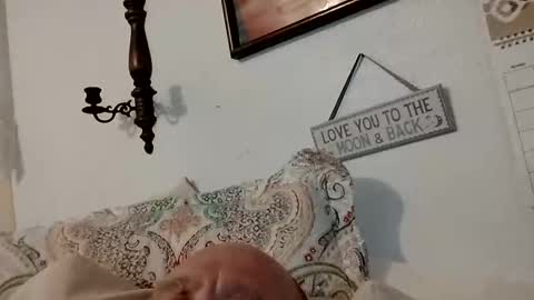 carldhammers online show from 10.08.25