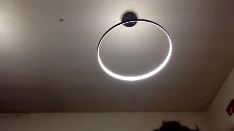 Carlos online show from 02.08.25