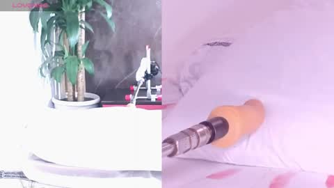 Carol online show from 04.16.26