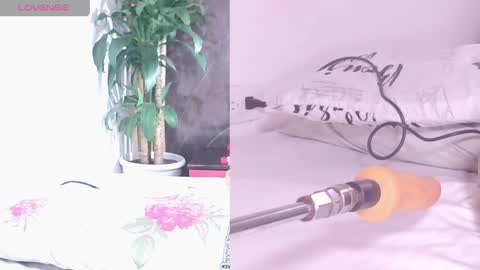 Carol online show from 04.17.26