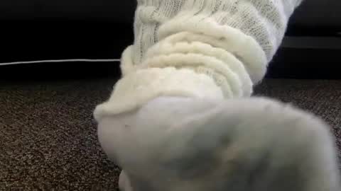 cash13bychanel online show from 12.04.25