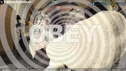 Master Grey online show from 05.15.26