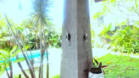 Hello my name is Cassie and my friend Nilo is also here online show from 02.18.26