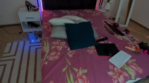 Snapshot of cassieevanss chatting on 01.24.25 Cassie online show from 01.24.25