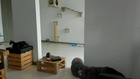 Cassandra online show from 03.22.26