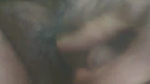 castells online show from 10.11.25