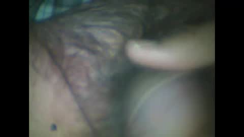 castells online show from 11.02.25