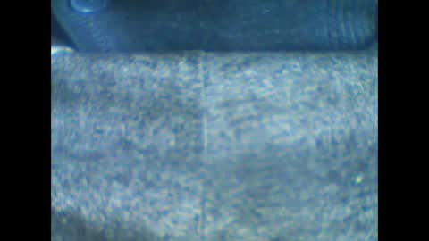 Snapshot of castells chatting on 01.18.26 castells online show from 01.18.26