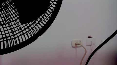 catalaia_stomm online show from 01.17.25