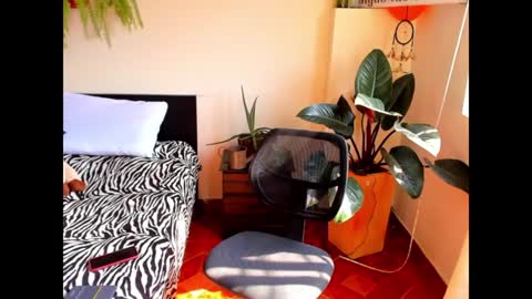 Cataina Lince online show from 12.09.24