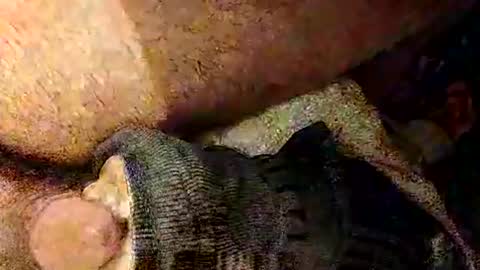 Snapshot of catdaddy179057 chatting on 03.01.26 catdaddy179057 online show from 03.01.26