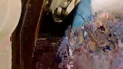 catdaddy179057 online show from 05.13.26