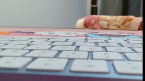 ANNYANNY online show from 02.16.26