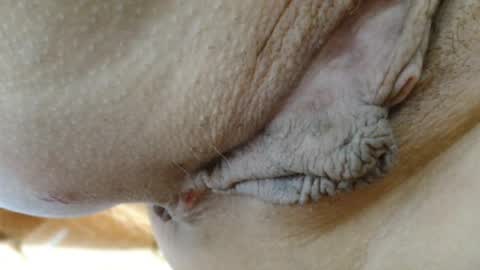 ANNYANNY online show from 03.24.26