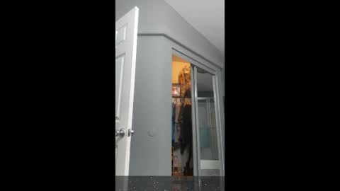 cdlisaann online show from 03.15.26