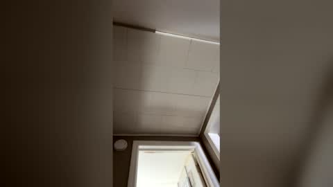 cecerose813 online show from 04.11.26