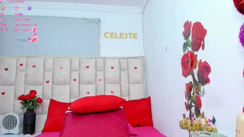 Snapshot of celeste_lincon chatting on 11.20.25 Celeste Lincon online show from 11.20.25