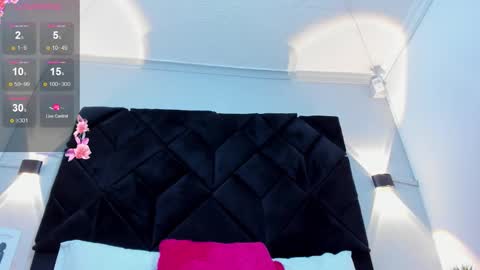 Snapshot of celeste_star0 chatting on 11.14.25 celeste star online show from 11.14.25