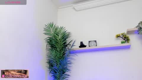 Celeste  online show from 03.12.25