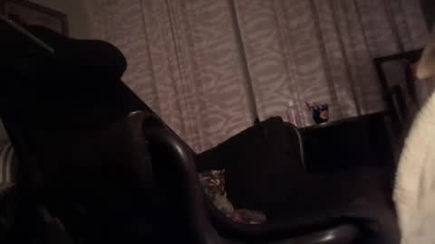 cfnmfriendly online show from 10.23.25