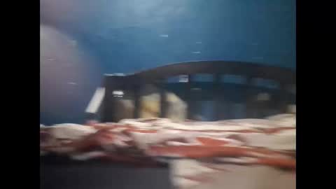 Khalif online show from 12.20.24